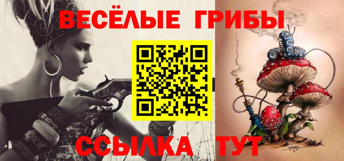 Псилоцибиновые грибы ЛСД Будённовск